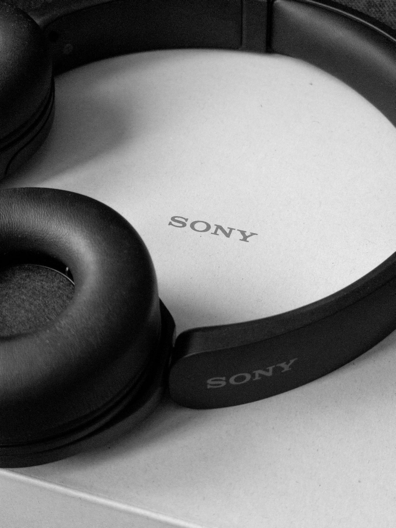 Close-up of padded headphones and their ear cups