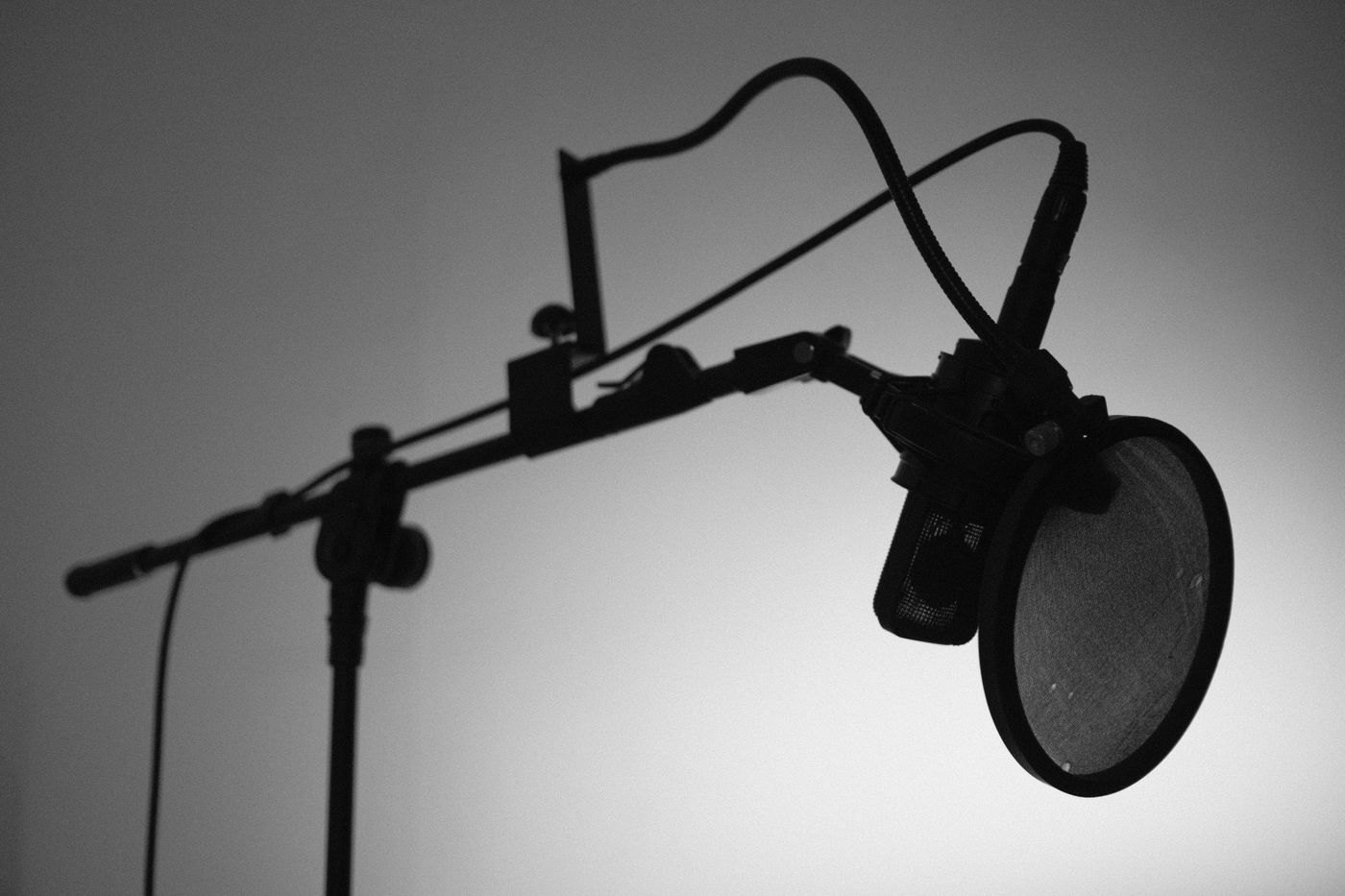 Microphone and pop filter mounted on a boom arm