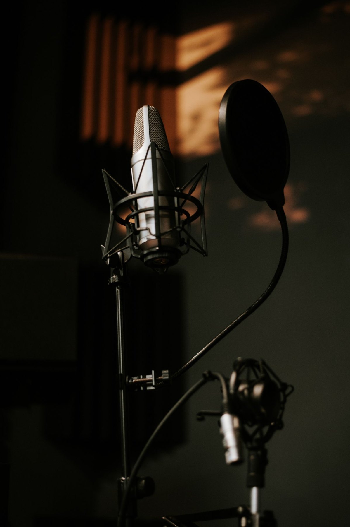 Recording microphone positioned in a quiet indoor space